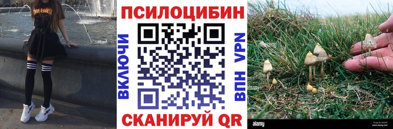 Галлюциногенные грибы Psilocybine cubensis  Купить  Котлас 